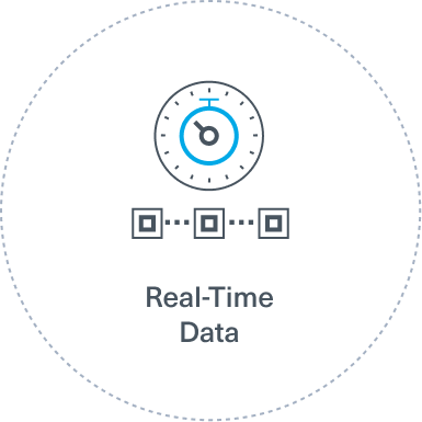 Decorative icon that says "Real-Time Data"
