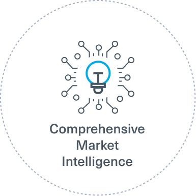 Decorative icon that says "Comprehensive Market Intelligence"